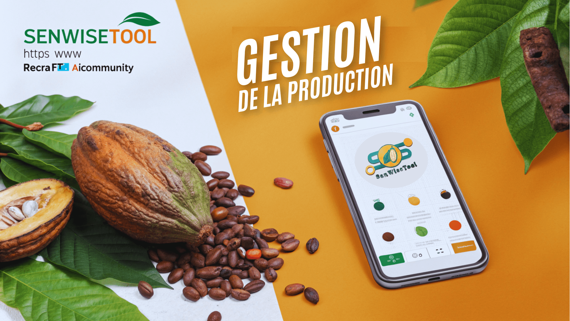 Gestion des cultures